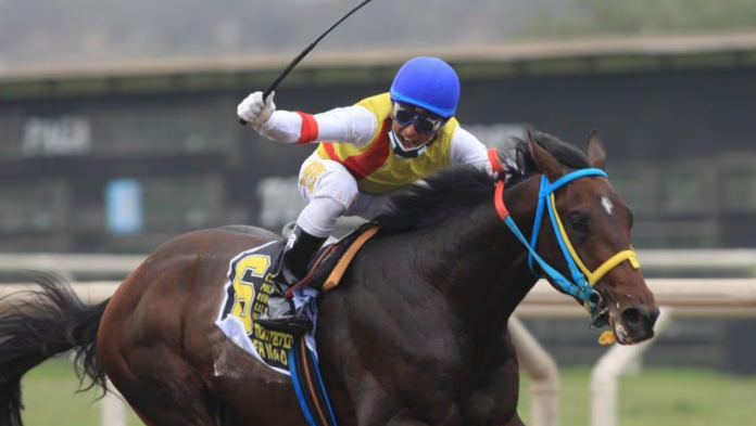 Jockey Fest 2024: el hípico más importante del Perú