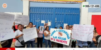 SJL: Plaga de pulgas afecta a escolares