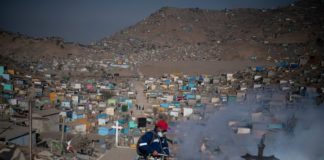 Dia de la Madre: flores serán prohibidas en cementerio de VMT