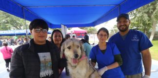 “Matripatitas”: Evento congregó a más de mil mascotas en SMP