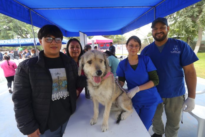 “Matripatitas”: Evento congregó a más de mil mascotas en SMP