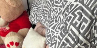 ¿Cómo debo abrigar a mi mascota en este invierno?