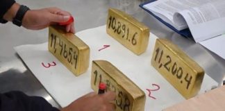 Incautan lingotes de oro que iban a Emiratos Árabes