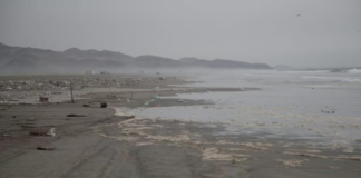 La Punta: Cierran playa por nuevo derrame de petróleo La Punta: Cierran playa por nuevo derrame de petróleo