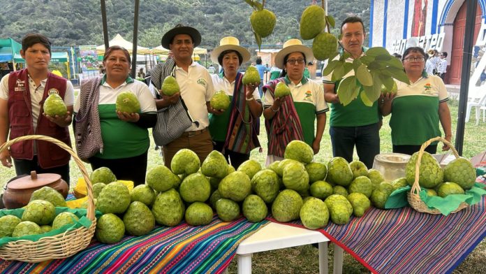 Se viene “Festival de la Chirimoya” este 26