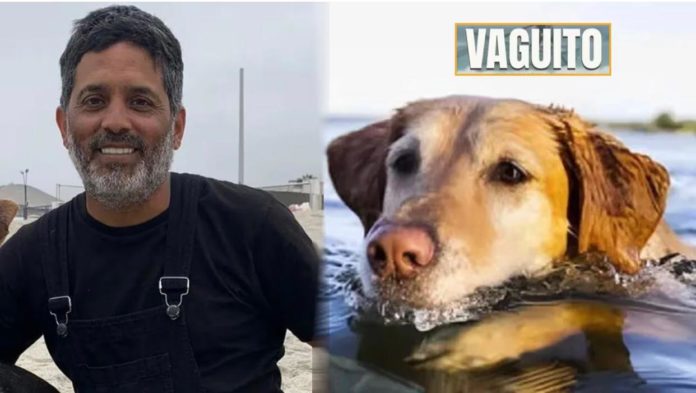 Director de Director de