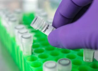 Brote de Dengue en Argentina sigue aumentando