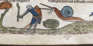 Cual es el origen de los caracoles en los manuscritos medievales