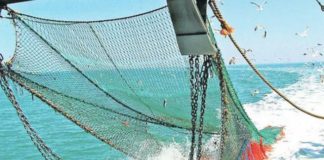 Grecia es el primer país europeo que prohíbe la pesca de arrastre Grecia es el primer país europeo que prohíbe la pesca de arrastre