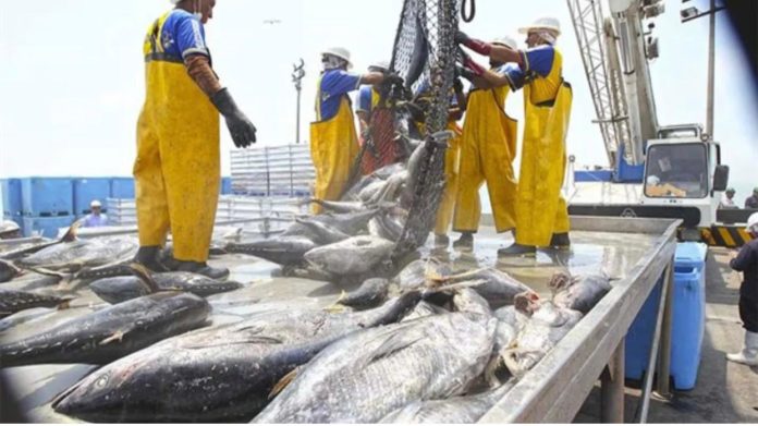 Poder Judicial decidiría que el proceder de la pesca industrial