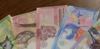 EL Banco Central prepara 11 nuevos diseños de billetes