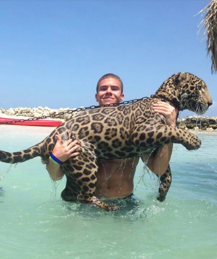 Isla caribeña se convirtió en la cuna de los negocios ilegales