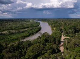 Defensores ambientales aguardan aprobación de Ley