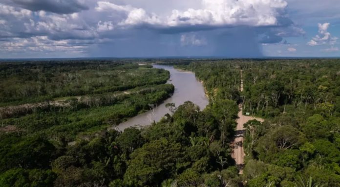 Defensores ambientales aguardan aprobación de Ley