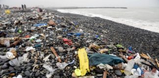 Más de 12 millones de dólares anuales en pérdidas por contaminación en Perú