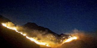Incendio forestal consume 600 hectáreas de pastizales en Cusco