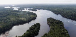 La Amazonía y los peligros que presenta