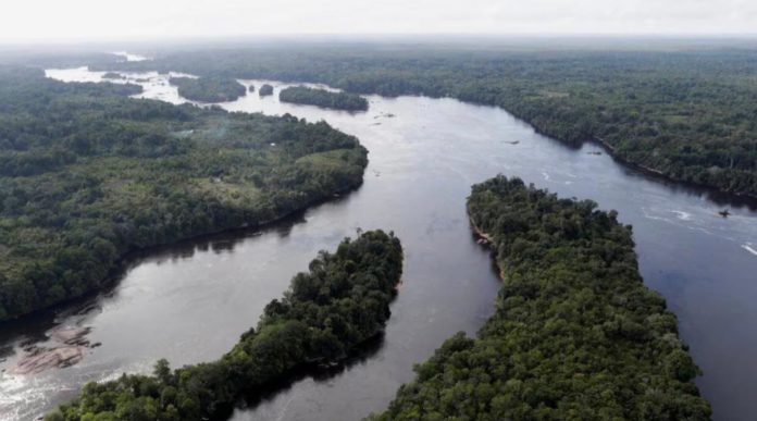 La Amazonía y los peligros que presenta