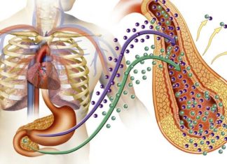 La diabetes se ha convertido en una pandemia
