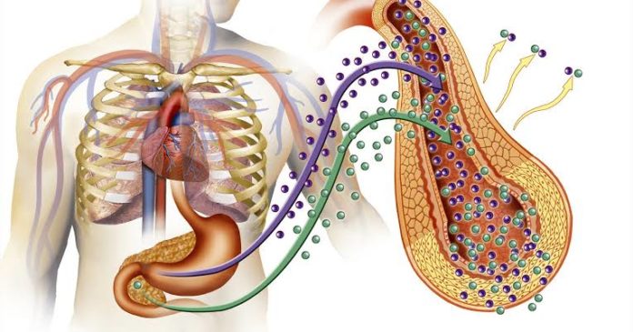 La diabetes se ha convertido en una pandemia
