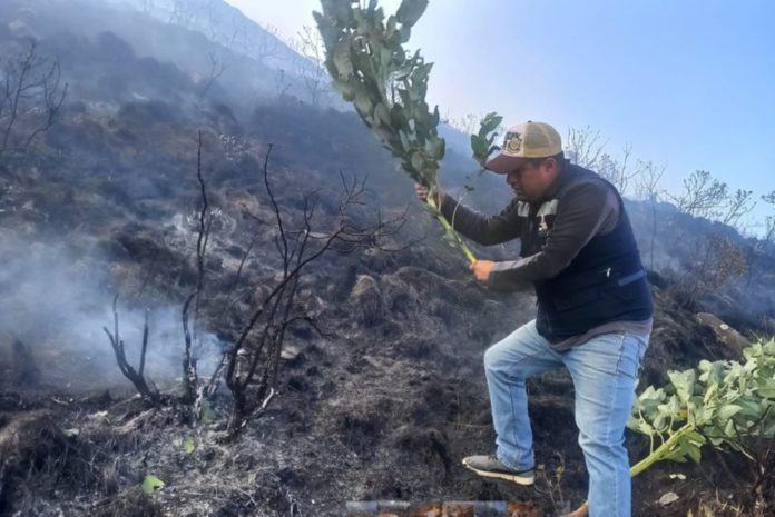 Cusco: Brigadistas controlan incendio forestal en Huarocondo tras tres días de lucha