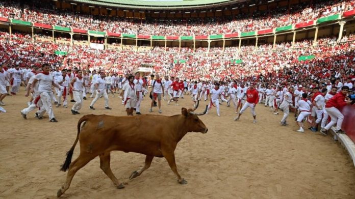 España: Seis heridos en el segundo encierro de toros de la fiesta española de San Fermín