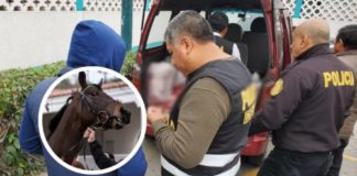 Carne de caballo en Puente Piedra