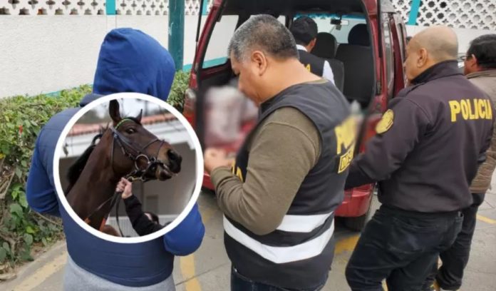 Carne de caballo en Puente Piedra