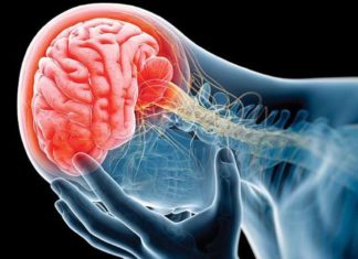 Día Mundial del Cerebro: conoce las enfermedades más comunes