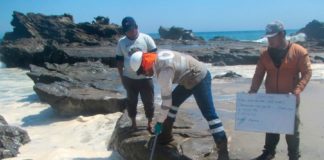 Piura: controlan fuga de petróleo reportada en distrito "El Alto"