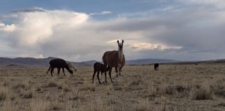 Aumento de temperaturas en la Selva y Sierra: Senamhi advierte elevados valores hasta el 28 de Julio