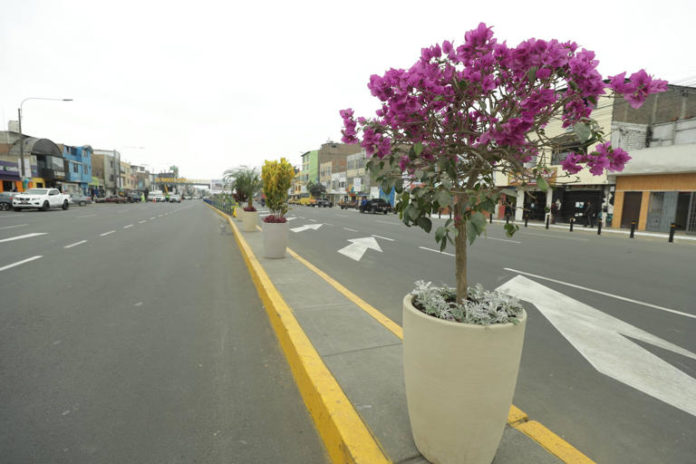 SMP: Renuevan av. Perú, pero trabajadores municipales se llevan las macetas