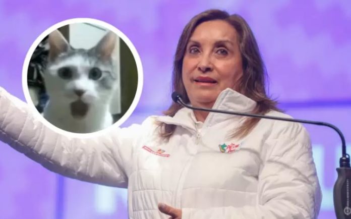 Critican a Dina Boluarte por cantar ‘Gato Ron Ron’