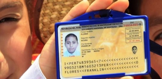 Reniec: Siete millones de niños cuentan con DNI en el Perú