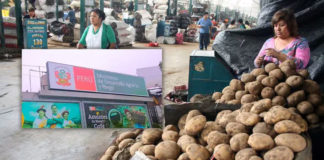 Conoce las razones de la repentina alza del precio de la papa