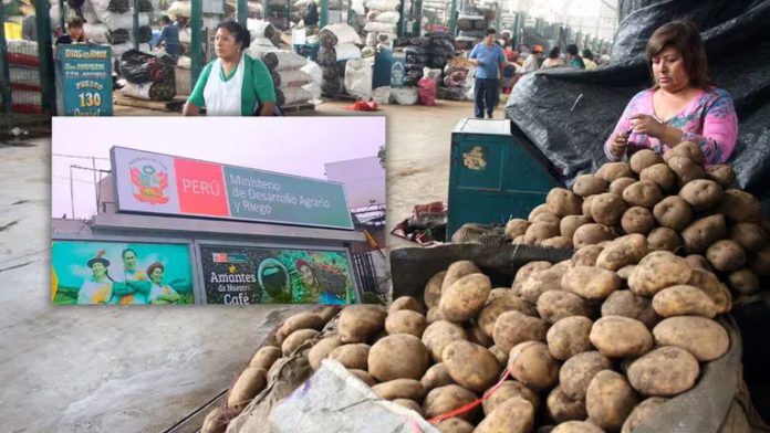 Conoce las razones de la repentina alza del precio de la papa
