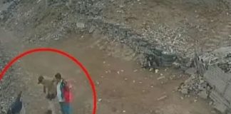 Padre de familia muere tras ser pateado a abismo