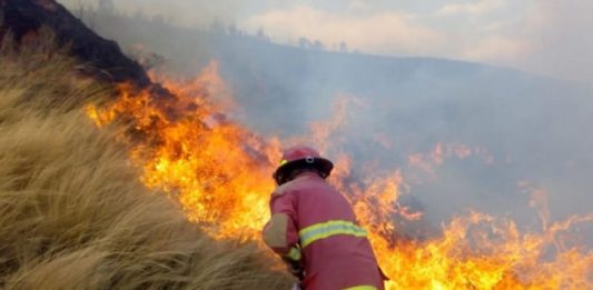 Incendios forestales en Perú: una amenaza creciente en 2024
