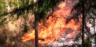 Incendios forestales en Cajamarca consumen más de 10,000 hectáreas de bosques y cultivos