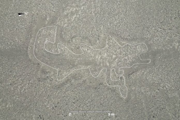 Descubren 303 nuevos geoglifos en Nasca con ayuda de la inteligencia artificial