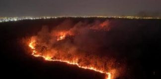 Incendios forestales