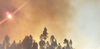 Incendio forestal arrasa con cerca de 700 hectáreas en el área de conservación Milpuj, Amazonas