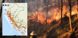 Incendios forestales golpean a 22 regiones del Perú: Indeci asegura que no se requiere ayuda internacional