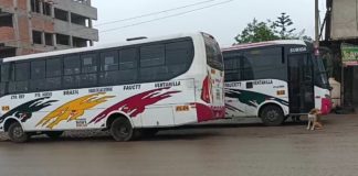 Empresa de transporte Roma paralizó sus servicios por extorsión