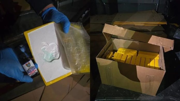 Incautan doscientos cuarenta ladrillos de cocaína en San Isidro