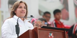 Dina Boluarte: "Nuestro gobierno está trabajando"