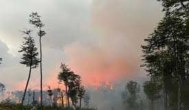 Mancomunidad Amazónica exige al Gobierno la declaratoria de emergencia ambiental por incendios forestales