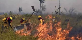 incendios forestales