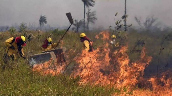 incendios forestales