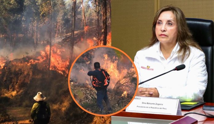 incendios forestales